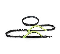 Retractable Bungee Leash for Large Dogs - Ideal for Running - Dual Handle - Vibrant Green