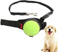 Retractable Dog Leash - 10ft Hands-Free Extendable Leash with Auto Locking and Adjustable Waist Belt for Medium and Large Dogs, Perfect for Walking, Jogging, Travel