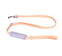 Retractable Dog Leash | 15kg Weight Limit with Snap Lock & Hanging Loop | Adjustable Nylon Leash for Small Medium Dogs/Walking/Training | Stylish Design (Purple)