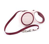 retractable dog leash, 3M/5M Nylon Automatic Retractable Dog Leash Adjustable Pet Walking Training Extending Traction Rope(2,5M)