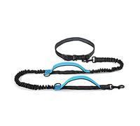 Retractable Dog Leash with Dual Handle and Bungee, Ideal for Running, Designed for Large Dogs, Sky Blue Color
