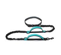Retractable Running Leash for Large Dogs: Dual-Handle Bungee Dog Leash in New-Turquoise
