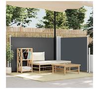 vidaXL Retractable Side Awning Anthracite 100x600 cm - Black, Black