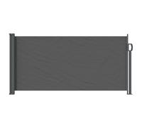 Retractable Side Awning Anthracite 300 x 100 cm Polyester Steel Ground Mount Pro