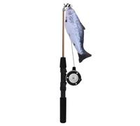 Retractable Teaser Wand Toy Toys Interactive Fishing Rod For Indoor Toys Cats Cats For Indoor to Cha Refills