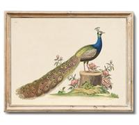 RETRART Elegant Peacock Wall Art with Pink Blossoms, Peacock Decor 8x10 Inch Unframed Canvas Print, Antique Bird Print Vibrant Animal Painting for Living Room, Bedroom Decor Nature-Inspired Serenity