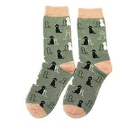 Retriever Duck Egg Womens Novelty Ankle Socks Adult One Size