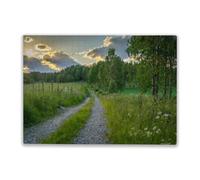 Retro Adult Puzzle 1000 Pieces The Path Interesting Parent-Childs Family Entertainment Leisure Fun Interactive Wooden