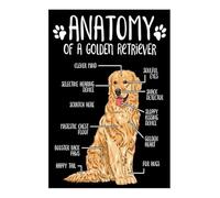 Retro Anatomy of A Golden Retriever Poster, Golden Retriever Knowledge Metal Tin Sign Decoration for Garage Yard Home Outdoor 8x12 Inch