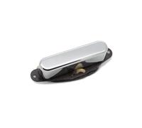 Retro Antquity For Telecaster Neck