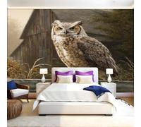 Retro Barn Wall Mural Animal Owl Photo Poster Mural Wallpaper Non-Woven Premium Art Print Living Room Bedroom Nursery TV Background Home Decor 300 x 210cm