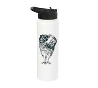 Retro Boho Folk Art Owl Curious Tilted Head Birding Graphic Stainless Steel Insulated Water Bottle
