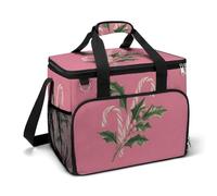 Retro Candy Canes Mistletoe Camping Cooler Bag Insulated Beach Coolers Portable Leak Proof Bags with Shoulder Strap