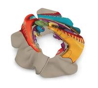 Retro Colorful Roller Skates Satin Scrunchies Elastic Hair Bands Exquisite Soft Jumbo Scrunchy Thick Fashion Hair Ties Cute Satin Hair Scrunchies for Women Hair Accessories Gift