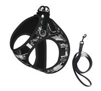 Retro Cool Camera Collection Print Small Dog Harness And Leash Set, Adjustable Soft Vest With 360° Reflective Straps For Cats Puppy