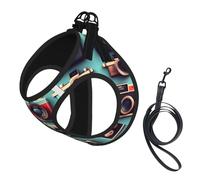 Retro Cool Camera Collection printing Puppy Harness, Dog Harness and Leash Set, Soft Mesh Reflective Breathable Lightweight Vest-Style