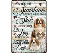 Retro Decor Tin Signs Cavalier King Charles Spaniel You Are My Sunshine Retro Wall Art Decor Iron Painting For Home Kitchen Cafe Pub Sign Plaque 14x20cm
