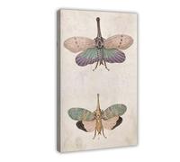 Retro Dragonfly Natural History Art Canvas Poster Bedroom Decor Landscape Office Room Decor Gift 24x36inch(60x90cm)