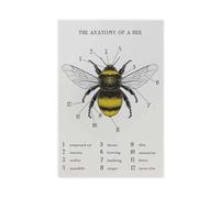 Retro Entomology Plants And Insects - Bee Anatomy Natural Decoration Canvas Poster Wall Art Decor Print Picture Paintings for Living Room Bedroom Decoration 12" L X 18" W
