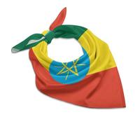 Retro Ethiopian Flag Printing Silk Scarf for Women Headband Women's Flag scarf Hair Bandanas Gift Square White