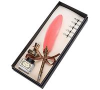 Retro Feather Pen Set Exquisite Stainless Steel Writing Suit for Signature Decoration, for Couples Teachers, Gothic Italian Calligraphy Practice (Pink)