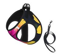 Retro flower print Dog Harness and Leash Set, Reflective Adjustable Puppy Vest for Small Medium Large Dogs, Cats