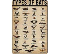 Retro Funny Metal Sheet Signs Bat Knowledge, Wall Decoration, 6x8 Inch