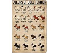 Retro Funny Metal Sheet Signs Colors of bull terrier knowledge, Wall Decoration, 6x8 Inch