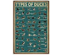 Retro Green Types Of Ducks Poster Indoor Home Decoration Gift Art Wall Decor Metal Sign Poster 8x12 inches