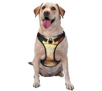 Retro Irish Flag Premium Dog Harness for Small, Medium, and Large Dogs â€“ Durable, No Pull with Reflective Straps and Quick Release BucklesSmall