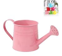 Retro Iron 1L Metal Watering Can with Long Spout & Handle, Leakproof Rustproof Vase,Suitable for small indoor and outdoor applications. (B)