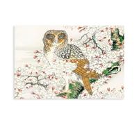 Retro Japanese Numata Owl with Short-eared Owl And Cherry Blossoms Canvas Poster Bedroom Decor Landscape Office Room Decor Gift 24" L X 36" W