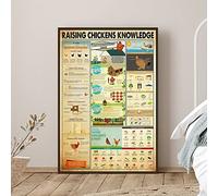 Retro Metal Tin Sign 8 X 12 Inches Raising Chickens Knowledge Poster Chicken Print Chicken Decor Chicken Wall Hanging Chicken Lover Gift Farmhouse Country Farm Decor Rustic Decor Funny Room Decor