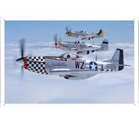 Retro Metal tin Sign Aircraft Tin Sign #512412 North American P 51 Mustang by Waller's Decor Funny Home Cave Garage bar Wall Decoration Vintage Metal Sign 8 x 12 inch