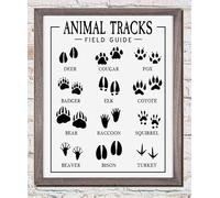 Retro Metal Tin Sign Animal Tracks - Field Guide Sign Nursery Decor Kids Room Animal Paw Prints Footprints Children Funny Wall Decor Novelty Crafts Best Gift 8x12 inch