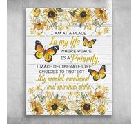 Retro Metal Tin Sign I Am At A Place In My Life Where Peace Is A Priority Iron Poster Art Holiday Decoration Outdoor & Indoor Sign Wall Decoration Metal Plaque 8x12 Inch
