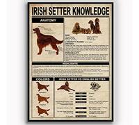 Retro Metal Tin Sign Irish Setter Knowledge Poster Vintage Metal Plaque Wall Decor Gift For Farm Bathroom Restaurant Bedroom Classroom Cafe School And 5.5X8inch