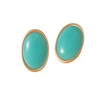 Retro Minimalist Oval Resin Earrings Comfortable Sterlings Silver Posts Geometric Statement Jewelry Vintage Minimalist Ear Studs