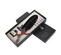 Retro Quill Pen and Ink Set, Feather Quill Pen Set Antique Calligraphy Writing Dip Pen Includes Quill Pen, 5 Replacement Nibs, Pen Stand Base and Ink Bottle, Gifr for Calligraphy Lovers(Black)