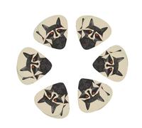 Retro Raccoon Graphic Print 12 Pack Guitar Picks Plectrums with Organizer Storage Box, Guitar Picks for Bass Electric Acoustic Guitars Ukulele