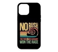 Retro Rainbow Sunset - No Rush Tortoise already won the race Case for iPhone 12 Pro Max