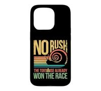 Retro Rainbow Sunset - No Rush Tortoise already won the race Case for iPhone 15 Pro