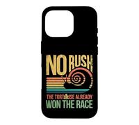 Retro Rainbow Sunset - No Rush Tortoise already won the race Case for iPhone 16 Pro