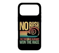 Retro Rainbow Sunset - No Rush Tortoise already won the race Case for iPhone 17 Pro Max