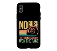 Retro Rainbow Sunset - No Rush Tortoise already won the race Case for iPhone X/XS