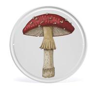 Retro Red Mushroom Round Vintage 6 inch Metal Tin Signs Decorations Funny Retro Motivational Wall Art hippie Poster Print summer door decor Modern Decor for Home Cafes Store Pubs Club Gift