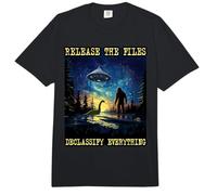 Retro Release Files DECLASSIFY Everything Alien Truth Comfort Colors Adult Heavyweight T-Shirt