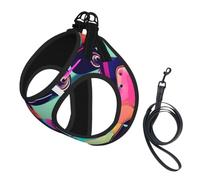 Retro Roller Skates Colorful Print Reflective No Choke Pet Vest Harness,Adjustable Soft Padded Dog Harness With Easy Control Handle