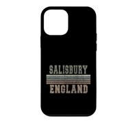 Retro Salisbury England Case for iPhone 12 mini