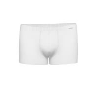 Retro Shorts Day Modern / Cotton & More by Ammann 700351 in 5 colours